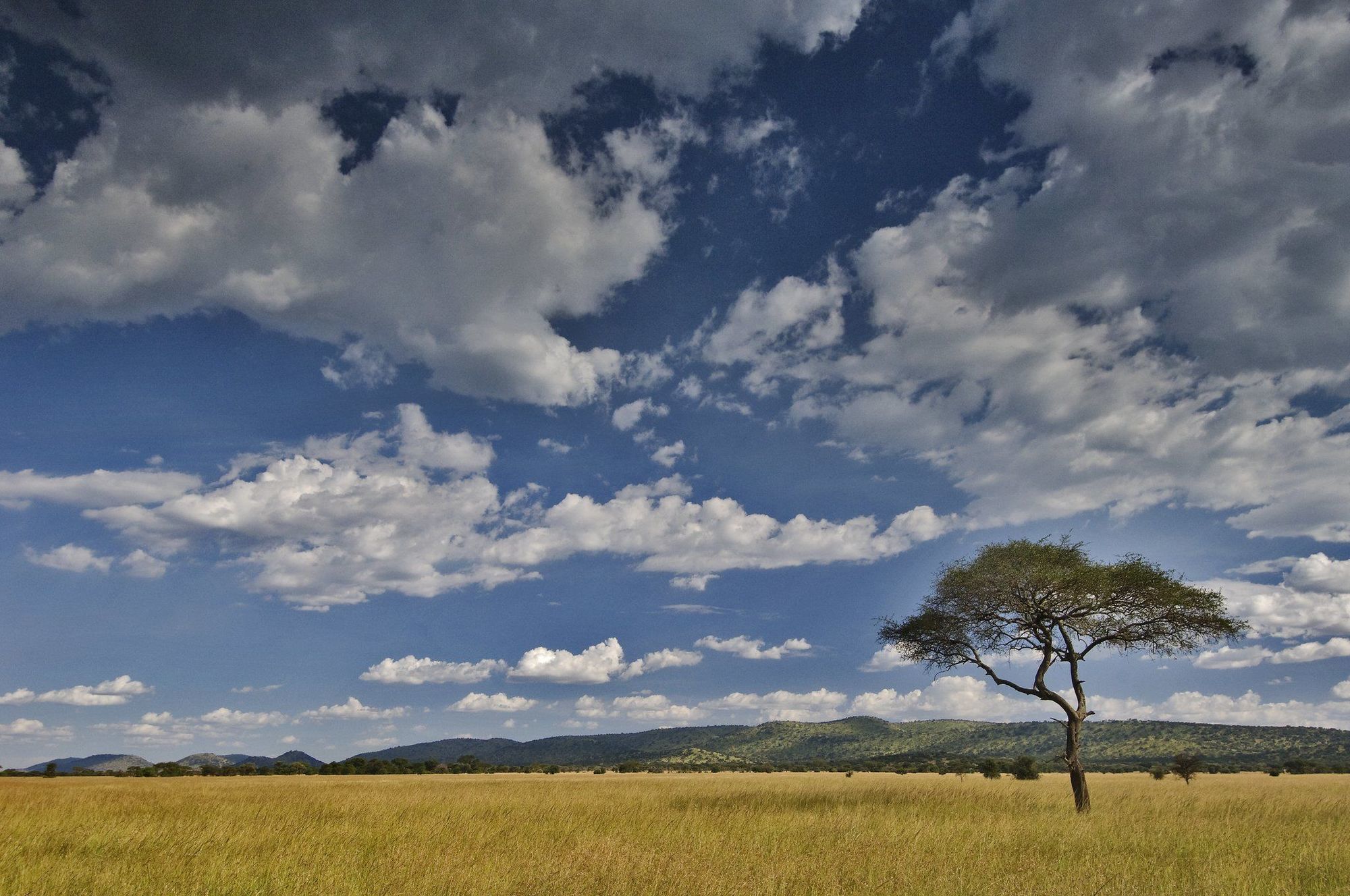 Kirawira Serena Camp Robanda Exterior photo